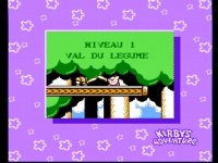 Cкриншот Kirby's Adventure, изображение № 732293 - RAWG