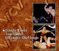Cкриншот WCW SuperBrawl Wrestling, изображение № 763242 - RAWG