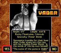 Cкриншот WCW SuperBrawl Wrestling, изображение № 763245 - RAWG