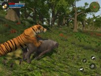 Cкриншот Asian Tiger Survival Simulator, изображение № 2532381 - RAWG