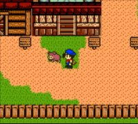 Cкриншот Harvest Moon 3 GBC (2000), изображение № 806558 - RAWG
