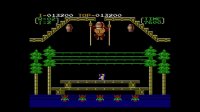 Cкриншот Donkey Kong 3, изображение № 822790 - RAWG
