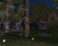Cкриншот EverQuest: Secrets of Faydwer, изображение № 483175 - RAWG