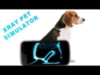 Cкриншот Simulator X-Ray Pet, изображение № 1629592 - RAWG