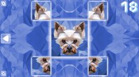 Cкриншот Poly Puzzle: Dogs, изображение № 3179635 - RAWG