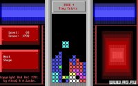 Cкриншот Tiny Tetris, изображение № 339267 - RAWG