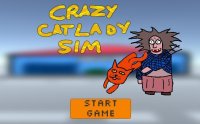 Cкриншот Crazy Cat Lady Sim, изображение № 1737035 - RAWG