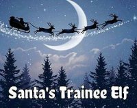 Cкриншот Santa's Trainee Elf, изображение № 2651173 - RAWG