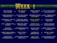Cкриншот NFL Football '94 Starring Joe Montana, изображение № 759875 - RAWG