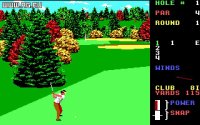 Cкриншот World Class Leader Board Golf, изображение № 337941 - RAWG