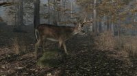 Cкриншот Pro Deer Hunting 2, изображение № 2740188 - RAWG