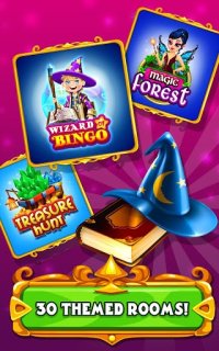 Cкриншот Wizard of Bingo, изображение № 1415802 - RAWG