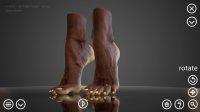 Cкриншот HAELE 3D - Feet Poser Pro, изображение № 3543609 - RAWG