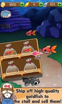 Cкриншот Goldfish Collection, изображение № 1491920 - RAWG