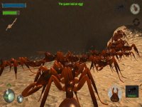 Cкриншот Ant Simulation 3D Full, изображение № 2174243 - RAWG