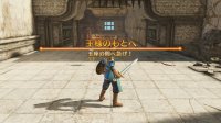 Cкриншот DRAGON QUEST HEROES: The World Tree's Woe and the Blight Below, изображение № 611958 - RAWG