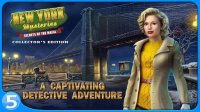 Cкриншот New York Mysteries (Full), изображение № 1572484 - RAWG