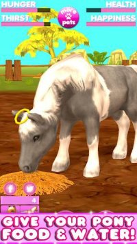 Cкриншот Virtual Pet Pony, изображение № 1561849 - RAWG