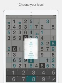 Cкриншот Sudoku ′, изображение № 900125 - RAWG