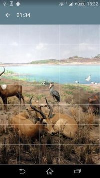 Cкриншот Jigsaw Puzzle: Animals, изображение № 1497937 - RAWG