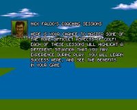Cкриншот Nick Faldo's Championship Golf (1992), изображение № 746557 - RAWG