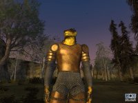 Cкриншот EverQuest II, изображение № 360683 - RAWG