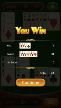 Cкриншот Gin Rummy Pro, изображение № 2898544 - RAWG