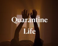 Cкриншот Quarantine Life, изображение № 3361543 - RAWG