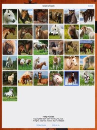 Cкриншот Pony Puzzles, изображение № 948571 - RAWG