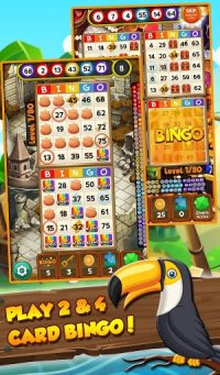 Cкриншот Bingo Treasure Quest - Paradise Island Riches, изображение № 2079653 - RAWG