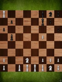 Cкриншот Mr Chess Pro, изображение № 1747195 - RAWG