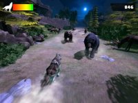 Cкриншот My Free Wolf Game Simulator For Kids, изображение № 871768 - RAWG