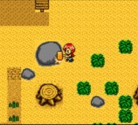 Cкриншот Harvest Moon 2 GBC (1999), изображение № 806570 - RAWG