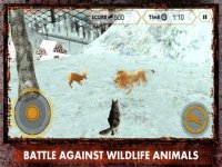 Cкриншот Wild Wolf Attack Simulator 3D – Live life of an alpha and take revenge for your clan, изображение № 2097682 - RAWG