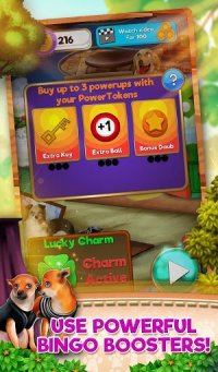 Cкриншот Bingo Pets Party: Dog Days, изображение № 2084384 - RAWG