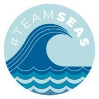 Cкриншот Team Seas (OILSLICC), изображение № 3127822 - RAWG