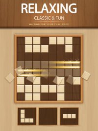 Cкриншот Wood Block Puzzle Game, изображение № 2037028 - RAWG