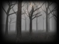 Cкриншот Slender Rising, изображение № 908914 - RAWG