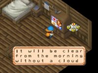 Cкриншот Harvest Moon 64 (1999), изображение № 740728 - RAWG