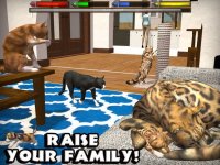 Cкриншот Ultimate Cat Simulator, изображение № 955779 - RAWG