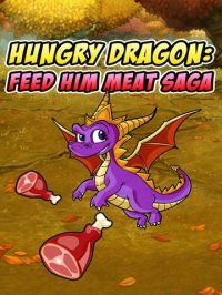 Cкриншот Hungry Dragon: Feed him Meat Saga, изображение № 893585 - RAWG