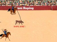 Cкриншот Cowboy Team Roping, изображение № 1635926 - RAWG