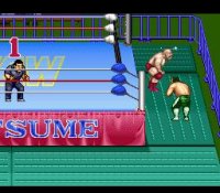 Cкриншот Natsume Championship Wrestling, изображение № 762254 - RAWG