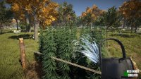 Cкриншот Weed Farmer Simulator, изображение № 2339631 - RAWG