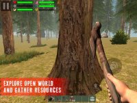 Cкриншот The Survivor: Rusty Forest, изображение № 1780288 - RAWG