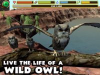 Cкриншот Owl Simulator, изображение № 955269 - RAWG