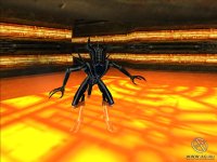 Cкриншот Aliens Versus Predator 2: Primal Hunt, изображение № 316992 - RAWG