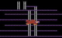 Cкриншот Donkey Kong, изображение № 726850 - RAWG