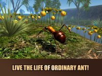 Cкриншот Red Ant Simulator 3D, изображение № 1700781 - RAWG