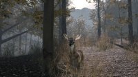Cкриншот Pro Deer Hunting 2, изображение № 2740181 - RAWG